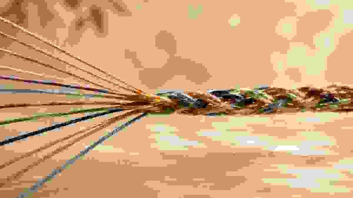 Section image