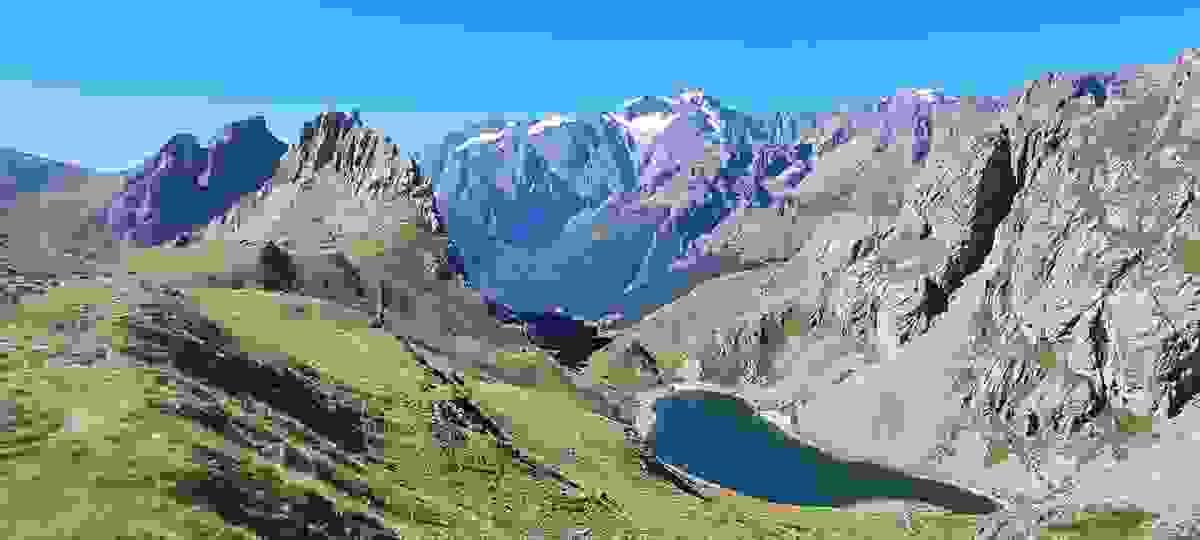 Section image