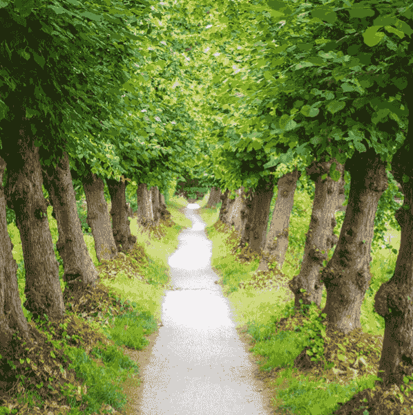 At Domaintelligent Technology Co., Ltd., we excel in distributing cutting-edge AI products that empower businesses to streamline operations and enhance productivity. Our portfolio includes state-of-the-art tools designed to meet the diverse needs of various industries, ensuring that our clients stay ahead in the competitive landscape. AI Product Distribution What We Do Specializing in AI product distribution and software developmentIn today's dynamic landscape where innovation is the key to success, Domaintelligent Tech. Co., Ltd., or DoIT, stands as a beacon of excellence in the realm of Artificial Intelligence (AI) industry software. Founded with a vision to revolutionize technological solutions across diverse sectors, DoIT specializes in the distribution of AI products and the development of bespoke software catering to the unique needs of clients spanning various industries. At Domaintelligent Technology Co., Ltd., we excel in distributing cutting-edge AI products that empower businesses to streamline operations and enhance productivity. Our portfolio includes state-of-the-art tools designed to meet the diverse needs of various industries, ensuring that our clients stay ahead in the competitive landscape. AI Product Distribution What We Do Specializing in AI product distribution and software developmentIn today's dynamic landscape where innovation is the key to success, Domaintelligent Tech. Co., Ltd., or DoIT, stands as a beacon of excellence in the realm of Artificial Intelligence (AI) industry software. Founded with a vision to revolutionize technological solutions across diverse sectors, DoIT specializes in the distribution of AI products and the development of bespoke software catering to the unique needs of clients spanning various industries.