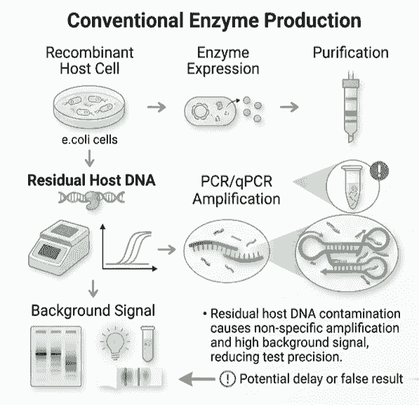 Conventional Enzyme Production - SBS Genetech Conventional Enzyme Production - SBS Genetech
