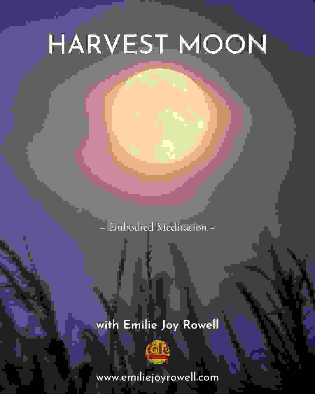 Harvest Moon Meditation at Vallis Farm, Frome - September 6th 2025. Poster shows the full moon over a field of ripe grain.