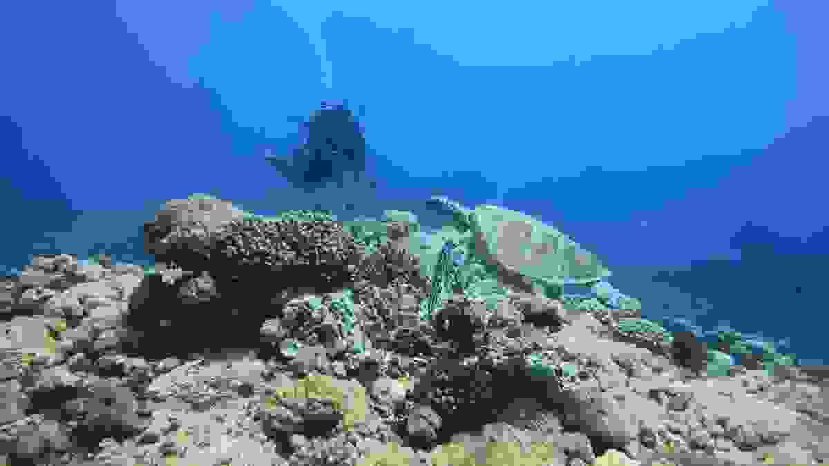 broken image