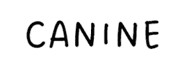 broken image
