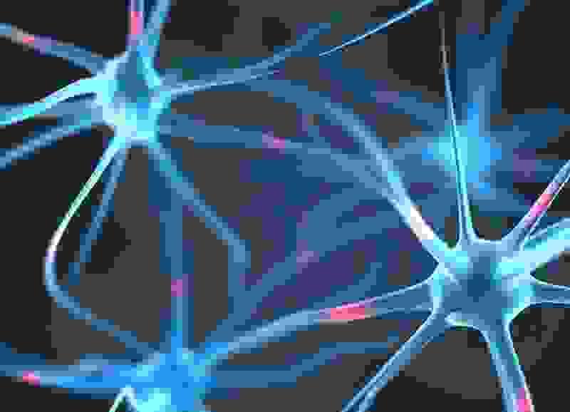 Our applications of traditional Chinese medicine (TCM) combine herbal therapy, nutrition, and lifestyle counseling to promote health holistically and prevent diseases. Traditional Chinese Medicine Our services Traditional Chinese Medicine, acupuncture, moxibustion, tui na (Chinese therapeutic massage), cupping, Chinese herbal medicine Our applications of traditional Chinese medicine (TCM) combine herbal therapy, nutrition, and lifestyle counseling to promote health holistically and prevent diseases. Traditional Chinese Medicine Our services Traditional Chinese Medicine, acupuncture, moxibustion, tui na (Chinese therapeutic massage), cupping, Chinese herbal medicine