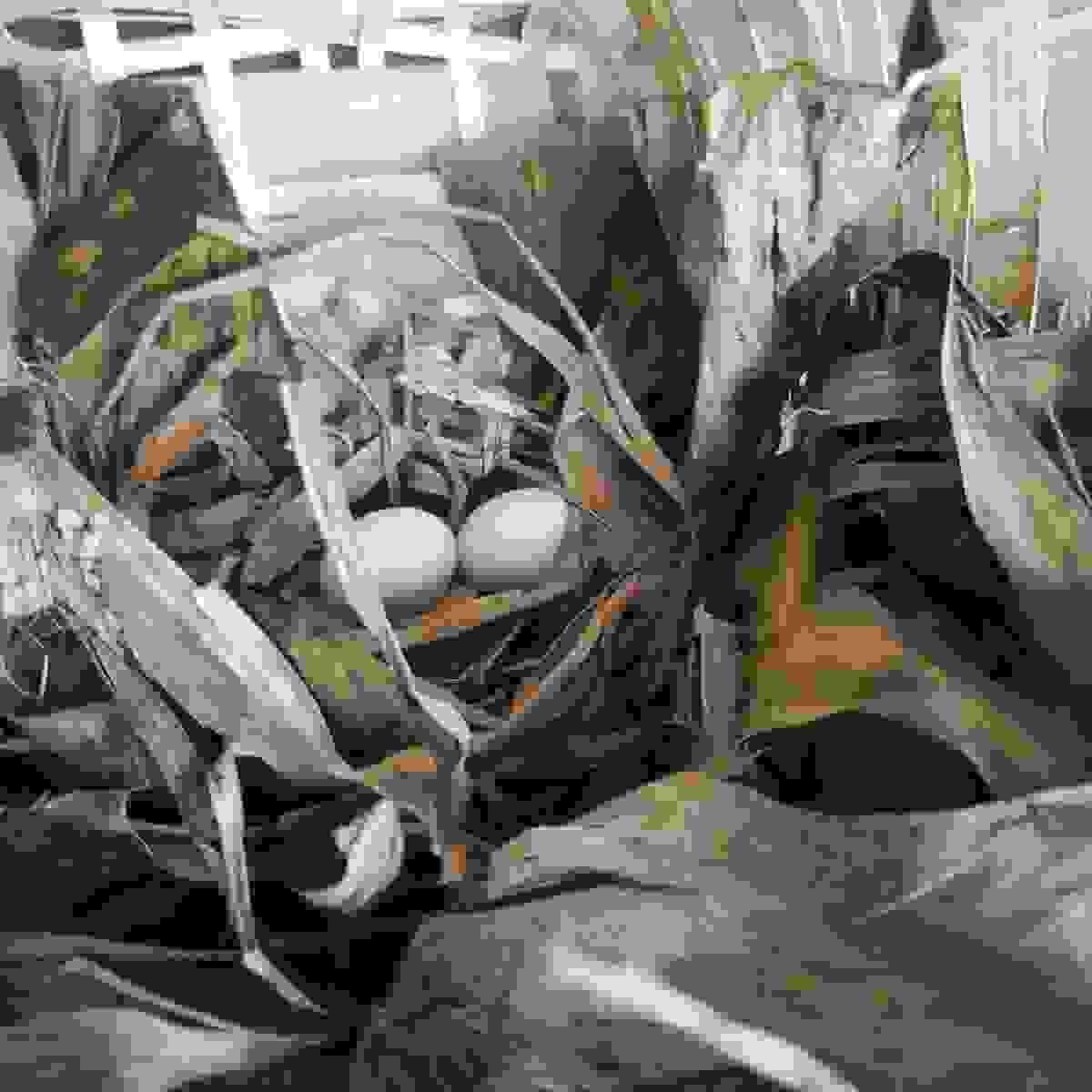 Section image