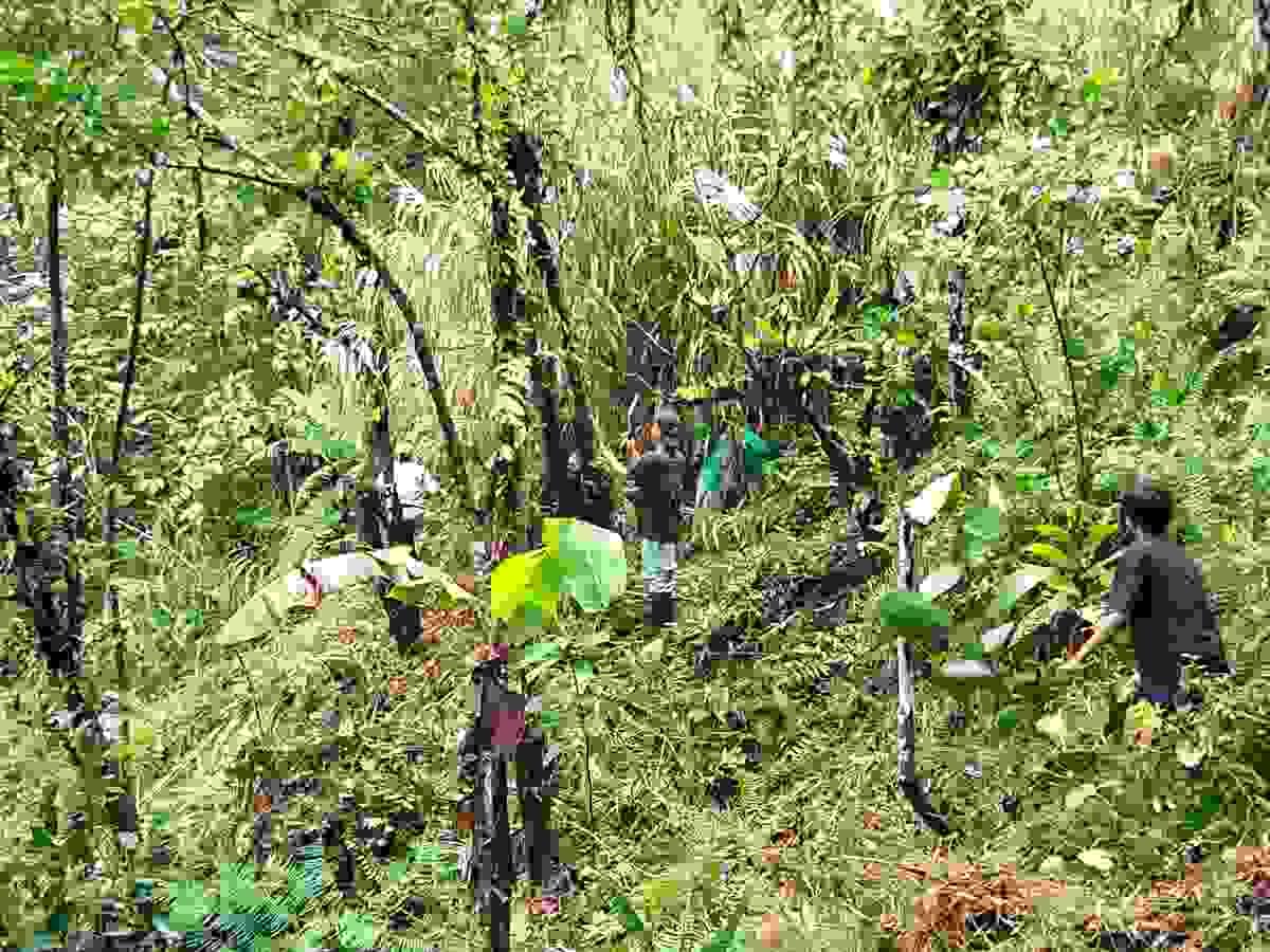 Section image