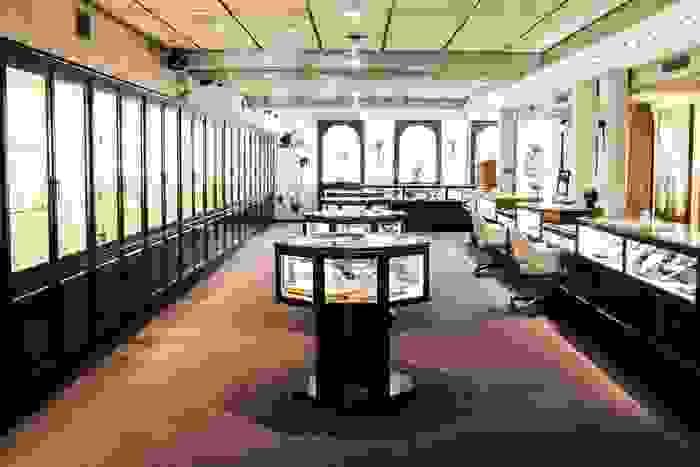 We provide personalized jewelry design services to meet the unique needs and tastes of our clients. professional design Our service Professional quality integrity service. We provide personalized jewelry design services to meet the unique needs and tastes of our clients. professional design Our service Professional quality integrity service.