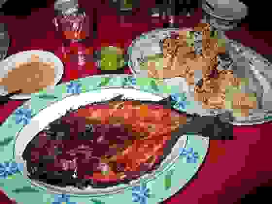 We collaborate with the best hotels and lodges to guarantee you a pleasant stay. Whether you prefer luxury or a more authentic atmosphere, we have options for all budgets. Comfortable Accommodation Our Mission Tourism Agency We collaborate with the best hotels and lodges to guarantee you a pleasant stay. Whether you prefer luxury or a more authentic atmosphere, we have options for all budgets. Comfortable Accommodation Our Mission Tourism Agency