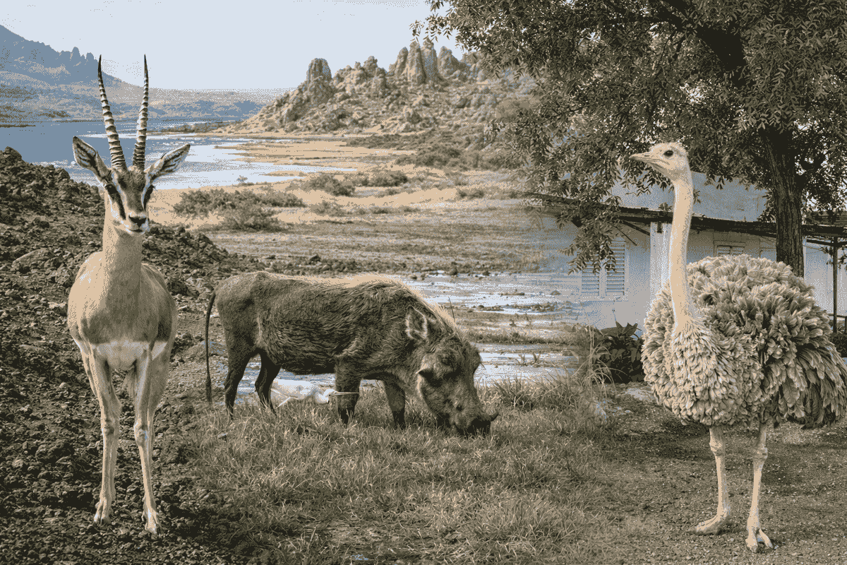 We collaborate with the best hotels and lodges to guarantee you a pleasant stay. Whether you prefer luxury or a more authentic atmosphere, we have options for all budgets. Comfortable Accommodation Our Mission Tourism Agency We collaborate with the best hotels and lodges to guarantee you a pleasant stay. Whether you prefer luxury or a more authentic atmosphere, we have options for all budgets. Comfortable Accommodation Our Mission Tourism Agency