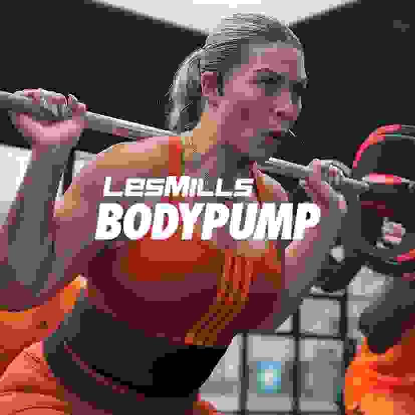 Experience top-tier training methods that empower you to enhance your skills and performance in fitness education. World-Class Training What We Offer CHALLENGE YOURSELF
Push your limits, master new skills, and get world-class training and support to become your boldest self. Experience top-tier training methods that empower you to enhance your skills and performance in fitness education. World-Class Training What We Offer CHALLENGE YOURSELF
Push your limits, master new skills, and get world-class training and support to become your boldest self.