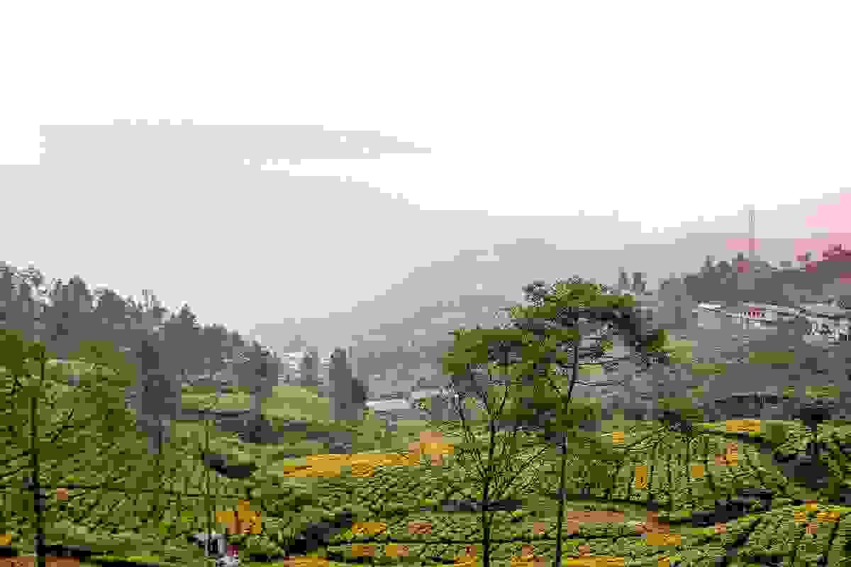 Countryside outside of Bogor, Java, Indonesia