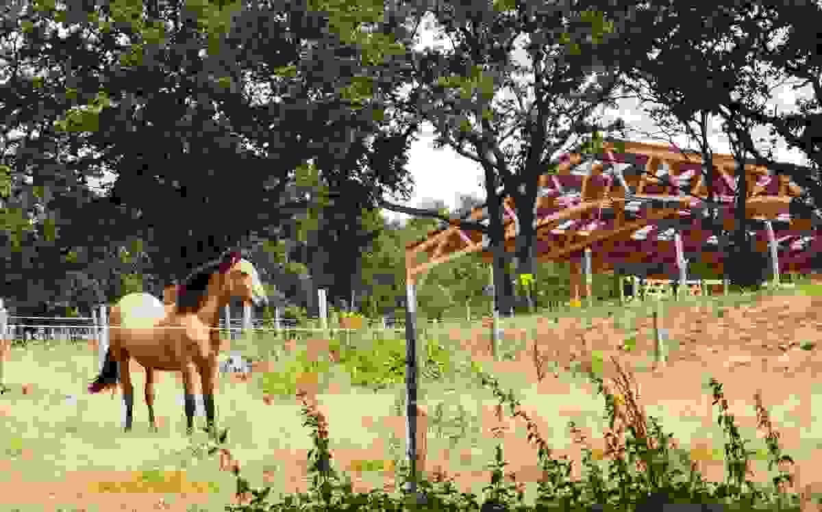 Section image