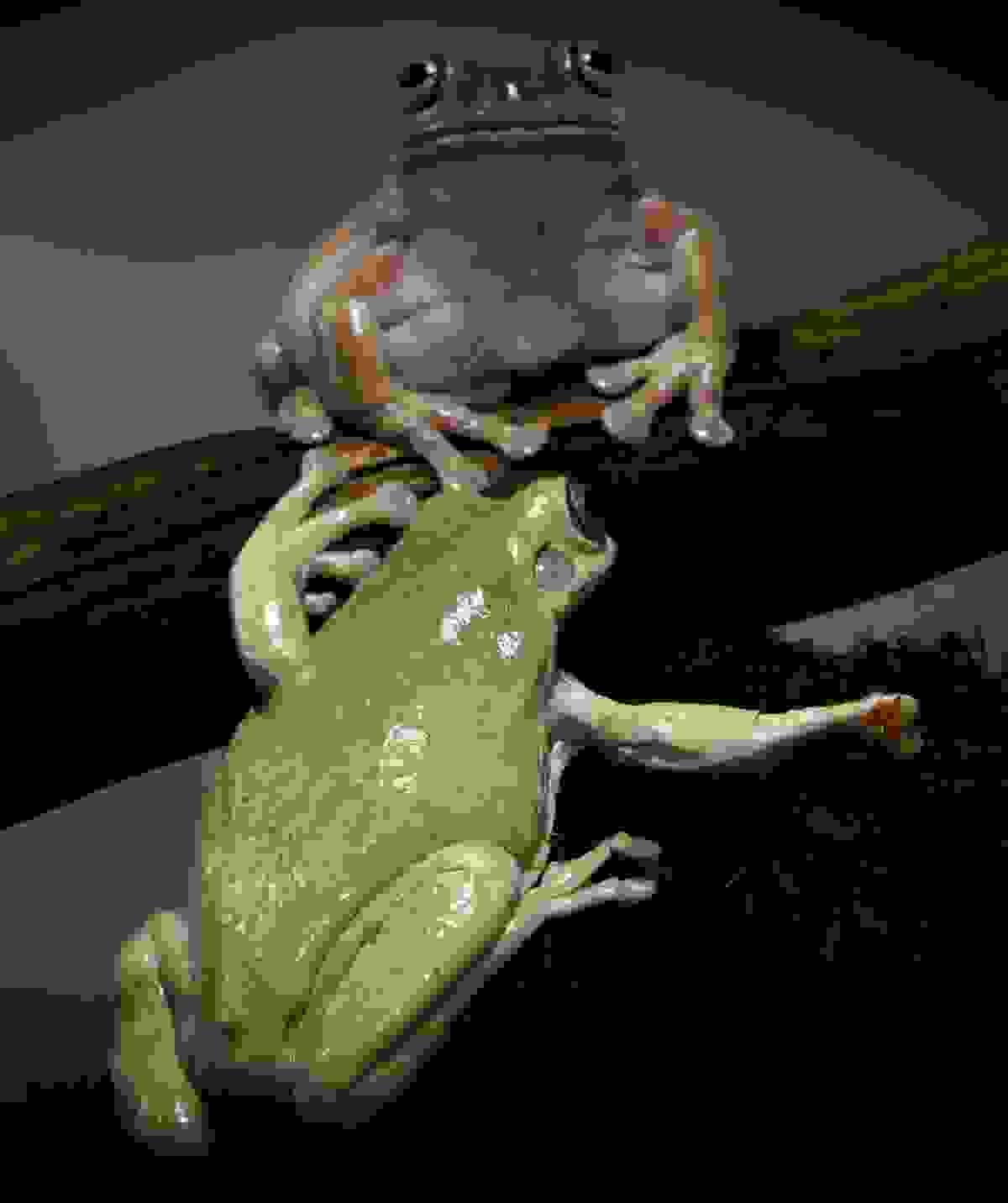 Section image