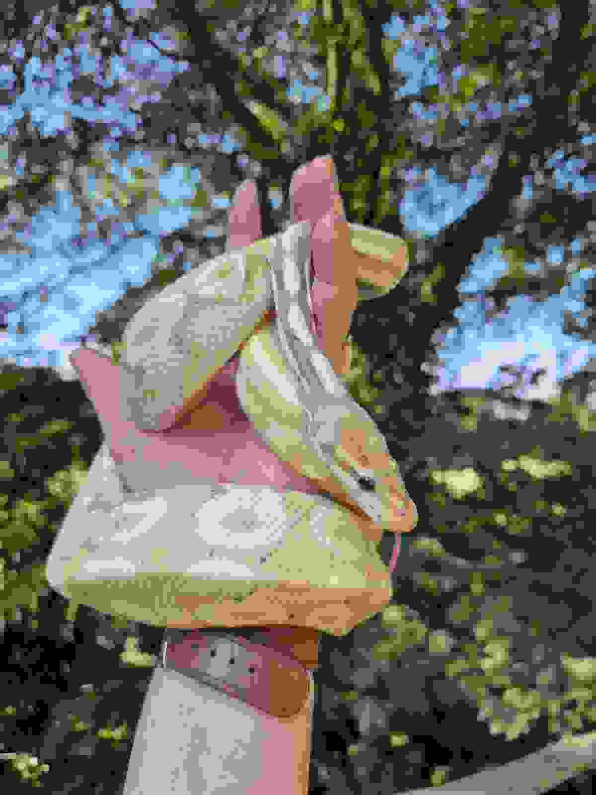broken image