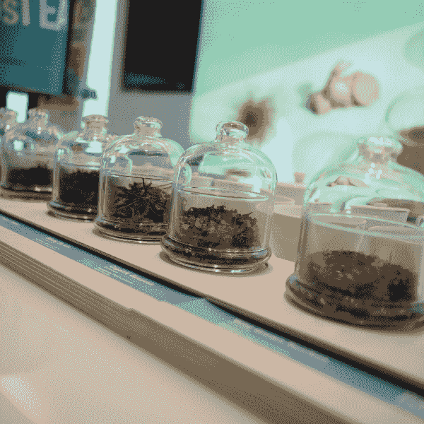 bulk-eco-friendly-bamboo-and-wood-tea-boxes bulk-eco-friendly-bamboo-and-wood-tea-boxes