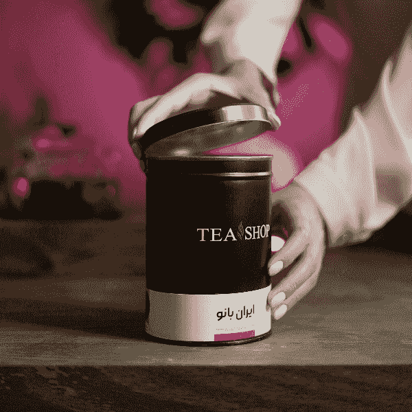 biodegradable-cardboard-tea-packaging-B2B biodegradable-cardboard-tea-packaging-B2B