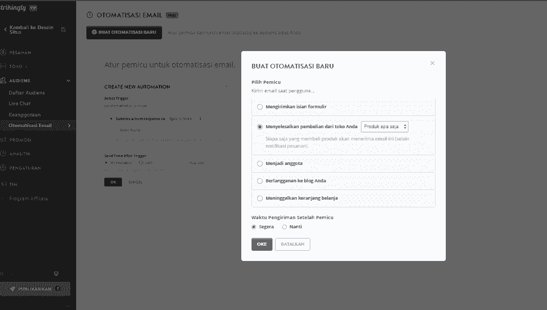 Bagaimana Strikingly Dapat Membantu Pemasaran Email - Kampanye Email Otomatis