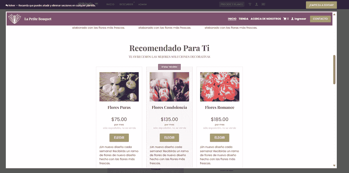 Plantilla Le Petit Bouquet de Strikingly