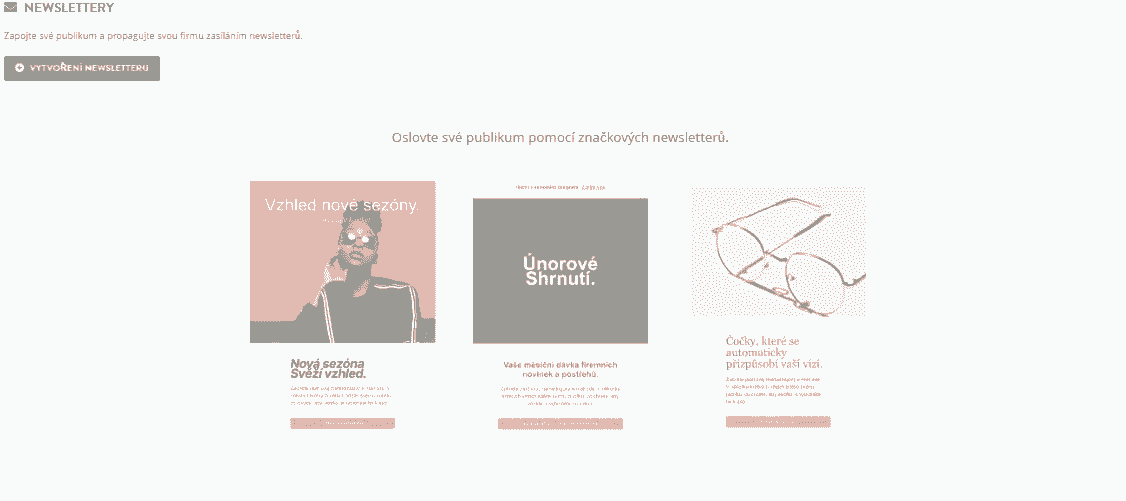 Funkce newsletteru Strikingly