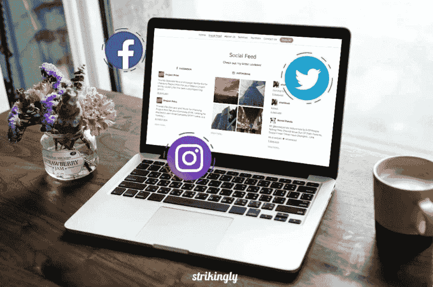 Sección de feeds de Strikingly Social