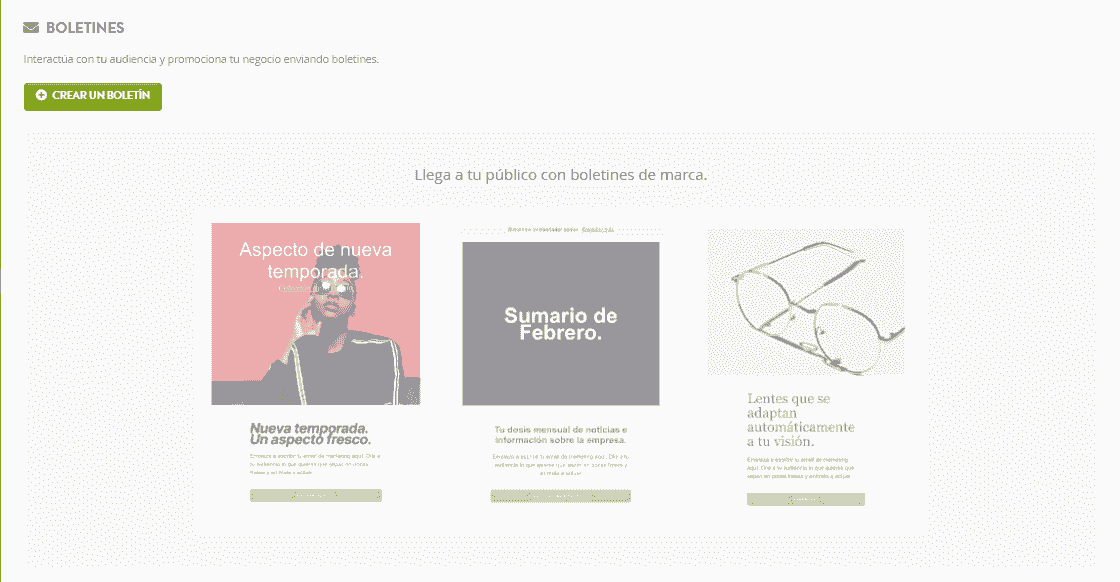 Artículo destacado del boletín informativo Strikingly