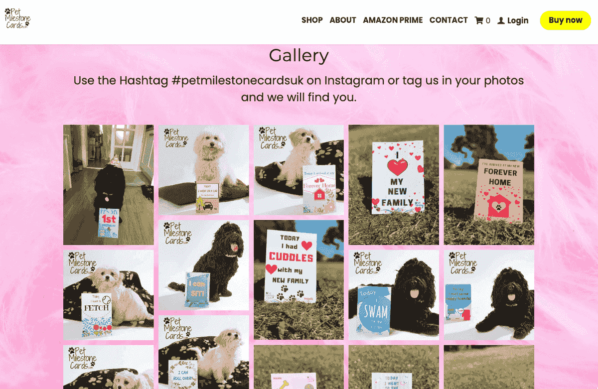 Campaña de Instagram de tarjetas de hitos para mascotas