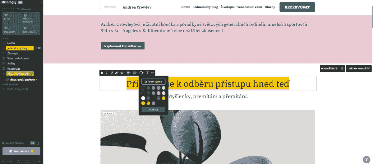 Jak cílit reklamu pomocí Strikingly – konzistentní branding