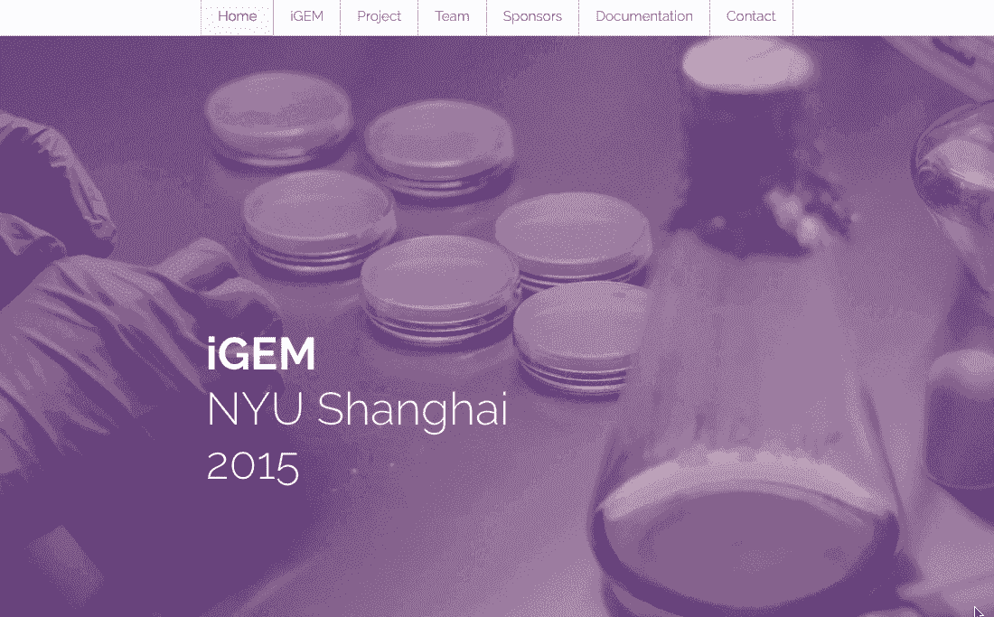 Ventas internacionales de IGEM NYU Shanghái