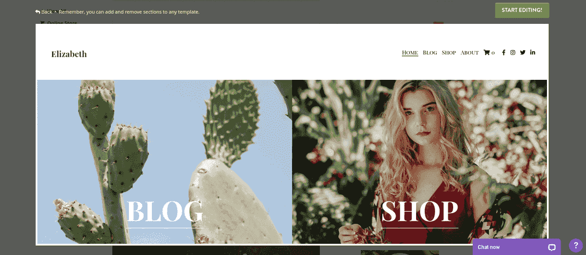 Plantilla de blog de venta minorista de suculentas de Strikingly