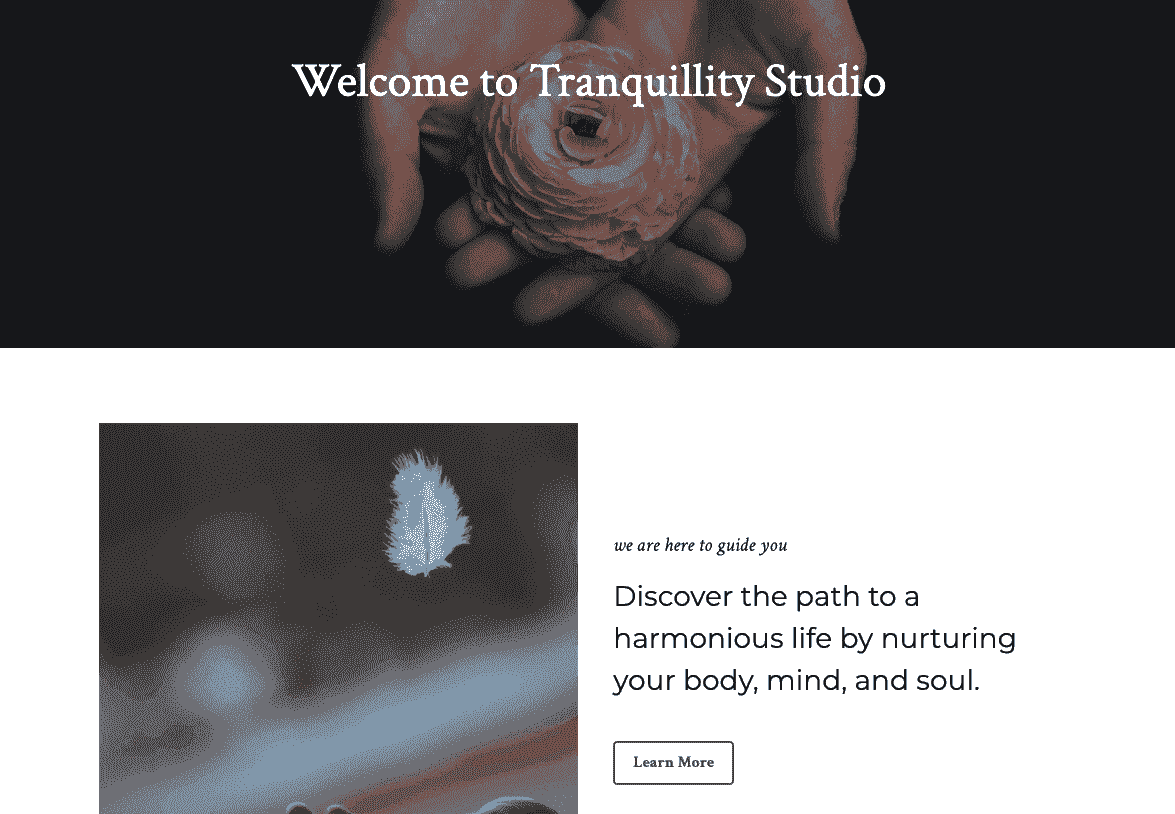 Šablona Tranquility Studio od Strikingly