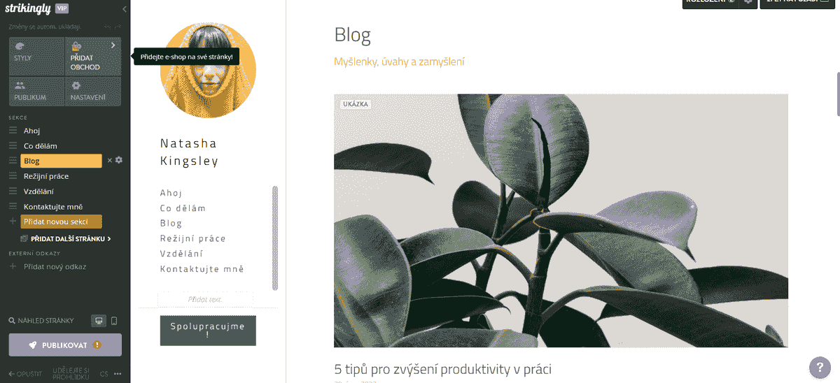 Předveďte své obchodní dovednosti s blogem Strikingly - Blog pro myšlenkové vedení