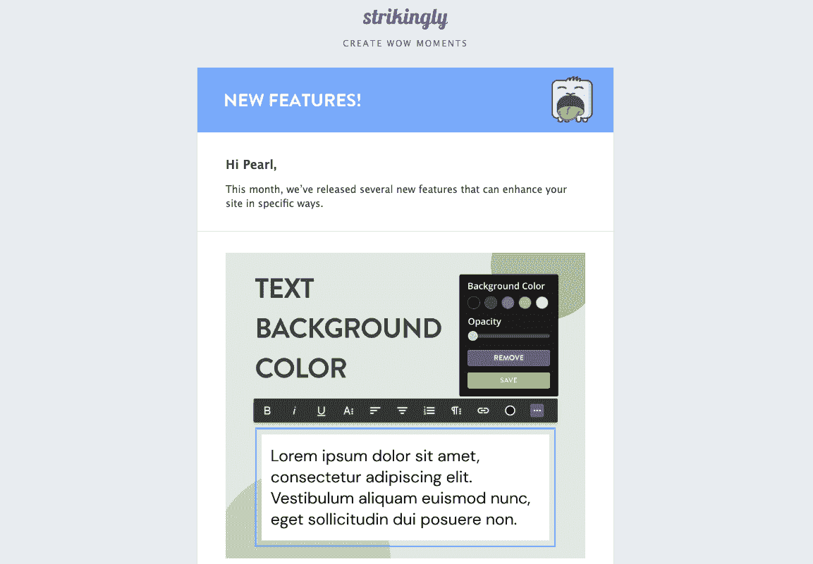 Email Pribadi dari Strikingly
