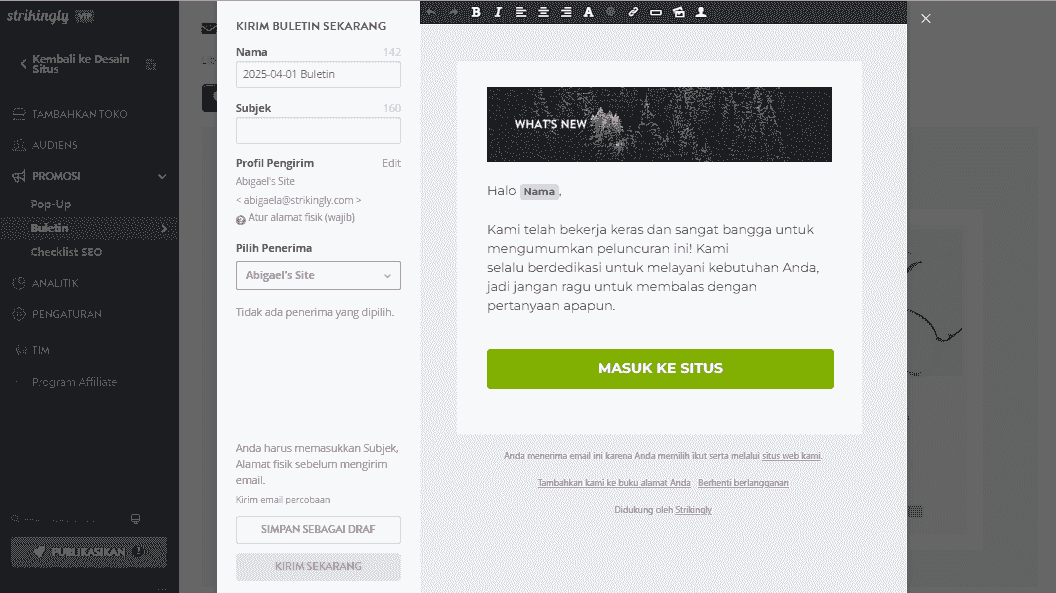Bagaimana Strikingly Dapat Membantu Meningkatkan Keterlibatan di Instagram Panduan - Integrasi Buletin Email