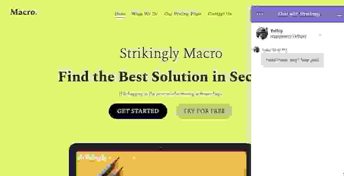 Template Makro dari Strikingly