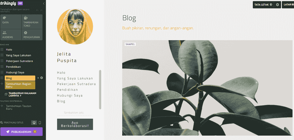 Pamerkan Keterampilan Bisnis Anda dengan Strikingly - Blog untuk Kepemimpinan Pemikiran