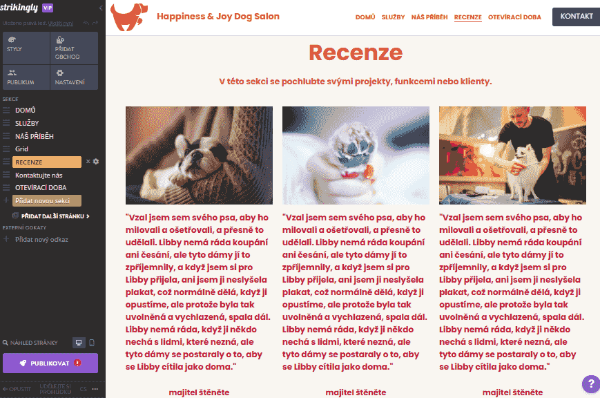 Jak používat Strikingly pro vaše produkty privátní značky – reference a recenze