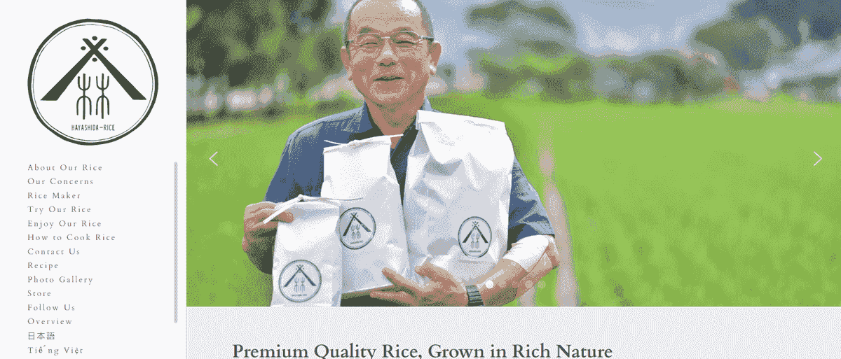 Apa yang dimaksud dengan prospek seperti e-commerce Hayashida