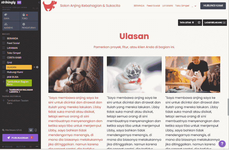 Bagaimana Strikingly Dapat Membantu Iklan Kebugaran - Testimoni Klien dan Kisah Sukses