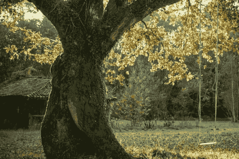 Journée de pratique de méditation - Février 2026 Journée de pratique de méditation - Février 2026