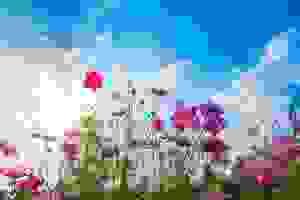 Weekend de pratique de méditation - Mars 2026 Weekend de pratique de méditation - Mars 2026