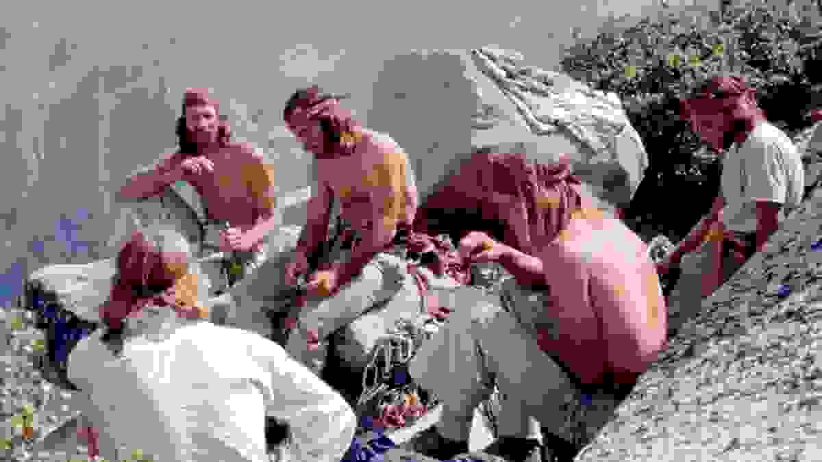 Section image