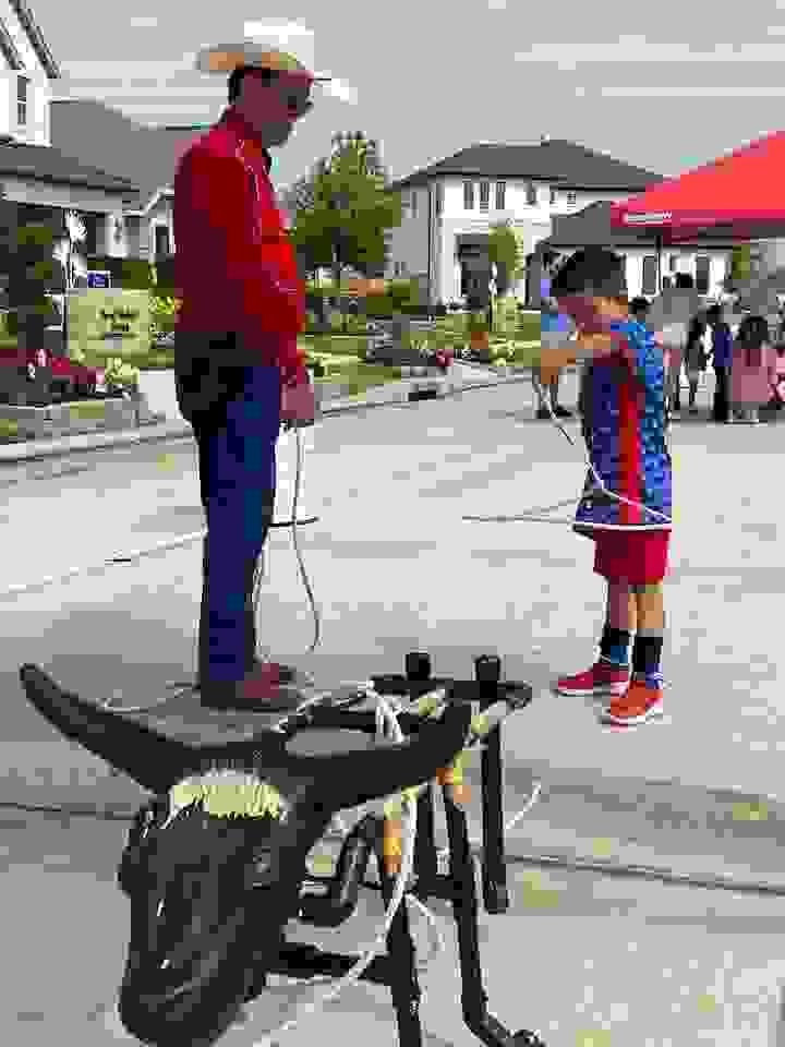 Section image