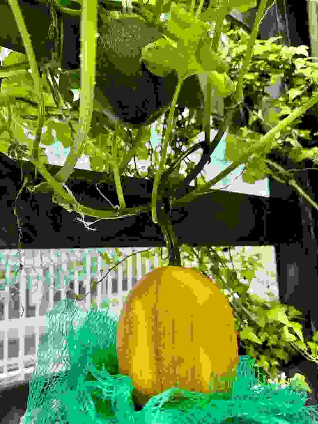 Section image