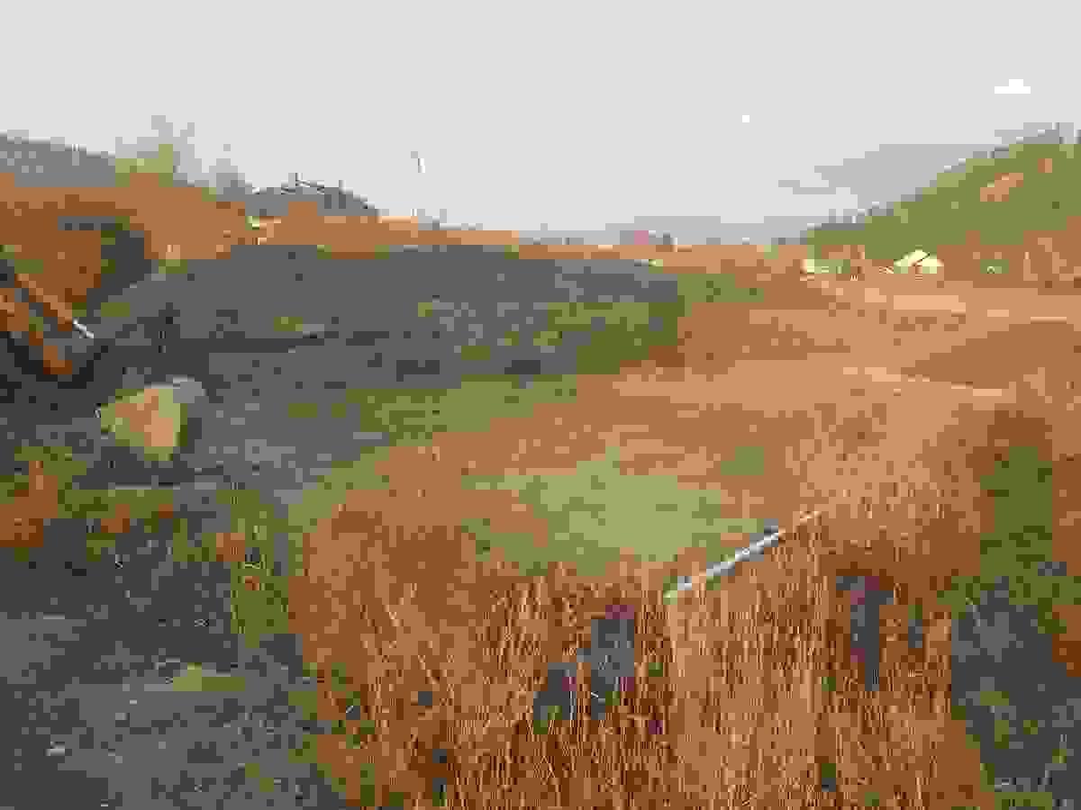 new drain field preparation new drain field preparation