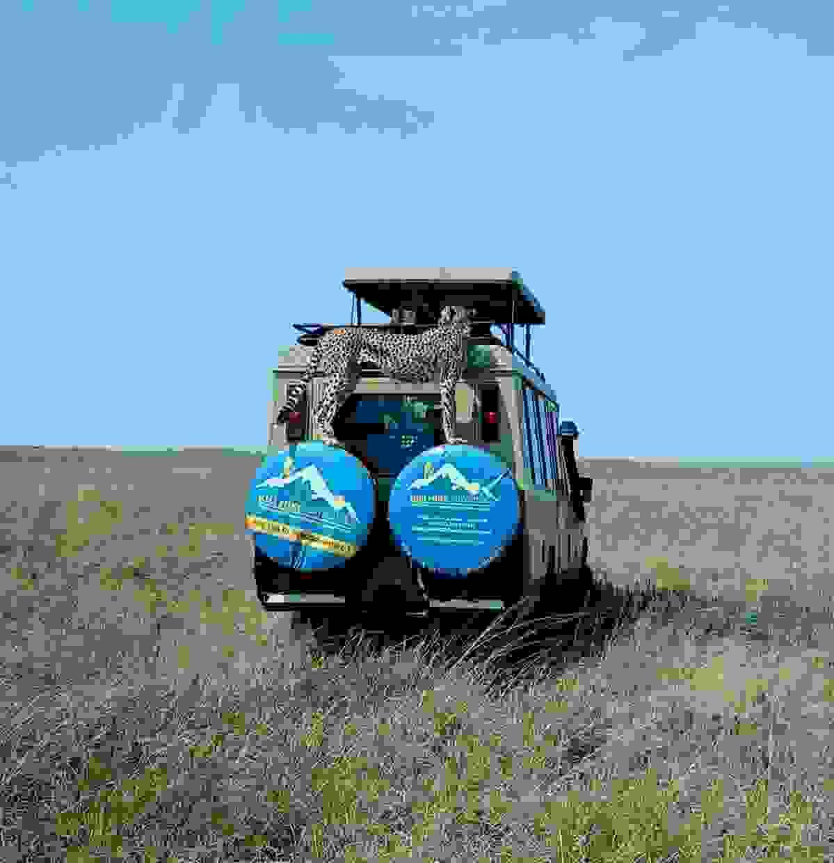 Section image