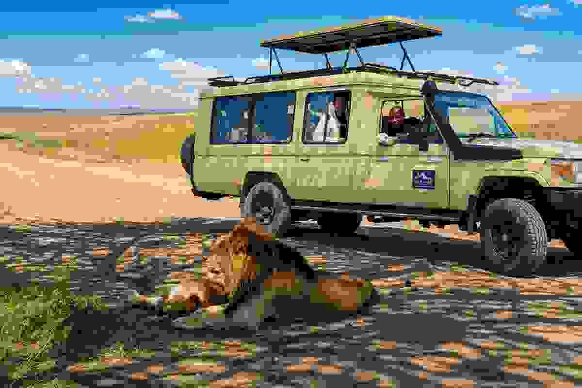 hydration and lunch break in the serengeti hydration and lunch break in the serengeti