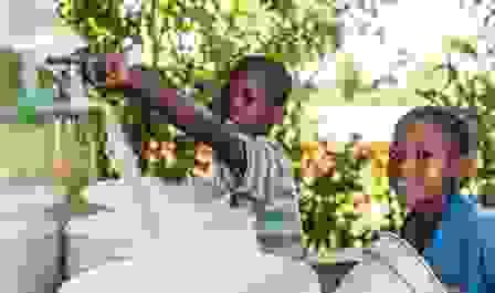 Section image