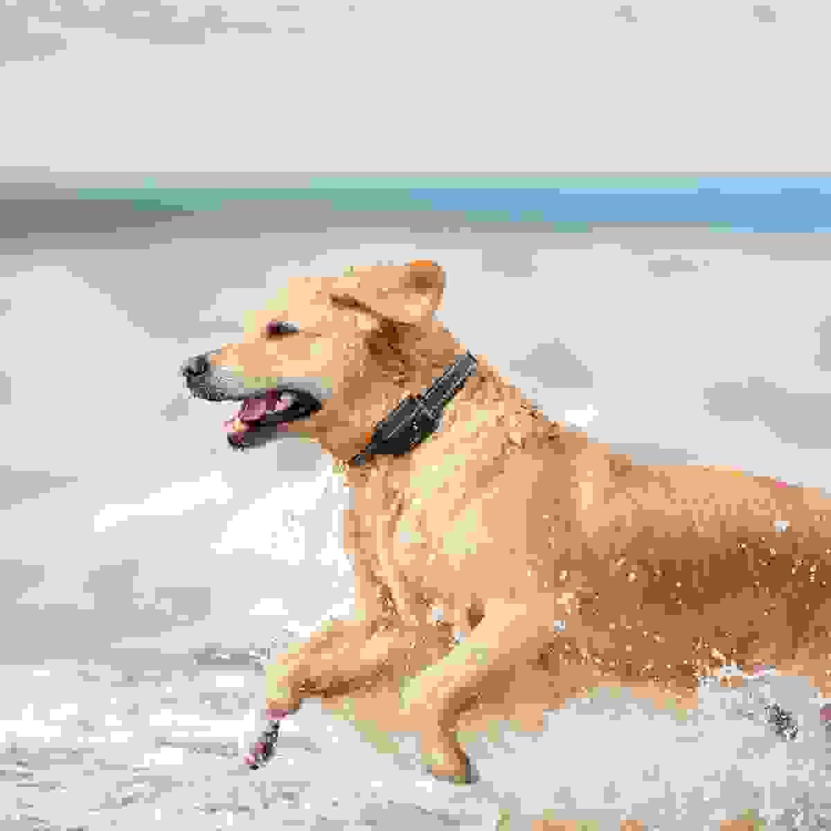 — Mark Thompson “I was involved in a minor accident and my car camera saved me from a false claim! I can't recommend it enough.” Thousands of drivers trust our car camera to protect their rights on the road Don't Ever Get Caught Driving A Car Without This! Top Rated Device Helps Thousands Get Out Of Wrongful AllegationsA car crash happens about every 5 seconds in the US ! That number means approximately 20 every minute, 6 million every year.Let's face it: While you may do your part as a responsible driver, and pride that "I am a safe driver, and I have a perfect driving record", the same can't be said for everyone else on the road.Outrageous drivers are everywhere.You could be a VICTIM in a head-on collision, rear-ending accident, side collision, or any number of different scenarios, even if you drive safely and abide by the traffic laws! But that's even not the worst coming to face…In fact, most insurance companies in the US will raise your rates by an average of 53% after an accident if you can't prove that it wasn't your fault. You are the victim, yet still, you have to pay. — Mark Thompson “I was involved in a minor accident and my car camera saved me from a false claim! I can't recommend it enough.” Thousands of drivers trust our car camera to protect their rights on the road Don't Ever Get Caught Driving A Car Without This! Top Rated Device Helps Thousands Get Out Of Wrongful AllegationsA car crash happens about every 5 seconds in the US ! That number means approximately 20 every minute, 6 million every year.Let's face it: While you may do your part as a responsible driver, and pride that "I am a safe driver, and I have a perfect driving record", the same can't be said for everyone else on the road.Outrageous drivers are everywhere.You could be a VICTIM in a head-on collision, rear-ending accident, side collision, or any number of different scenarios, even if you drive safely and abide by the traffic laws! But that's even not the worst coming to face…In fact, most insurance companies in the US will raise your rates by an average of 53% after an accident if you can't prove that it wasn't your fault. You are the victim, yet still, you have to pay.