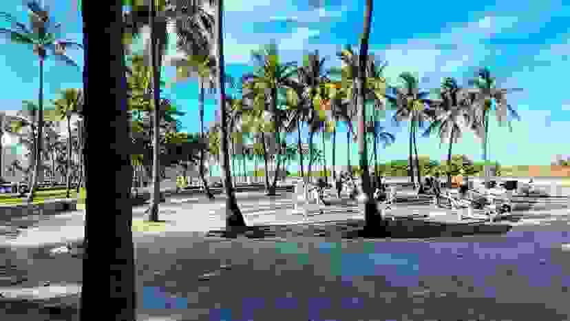Section image