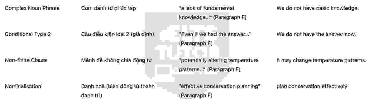 Skink Flash Card.pdf 🔥Saving the Skink Answers with location - Đề luyện tập ...